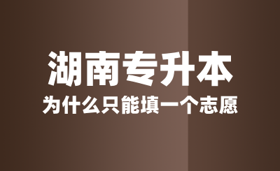 湖南专升本为什么只能填一个志愿？