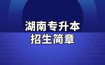 2025年湖南人文科技学院专升本招生简章